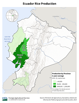images\EC\cropprod\Ecuador_Rice_preview.png